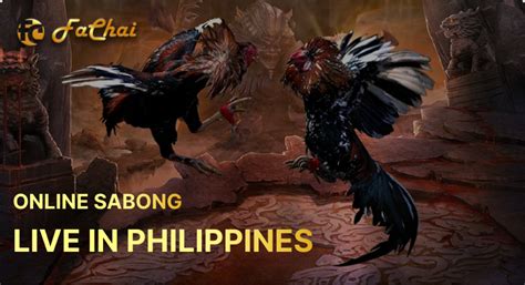 loaded boss https://swcsite1.net/|SABONG LIVE!! .